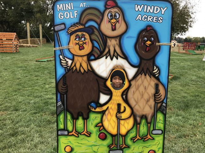 1st Grade Trip to Windy Acres